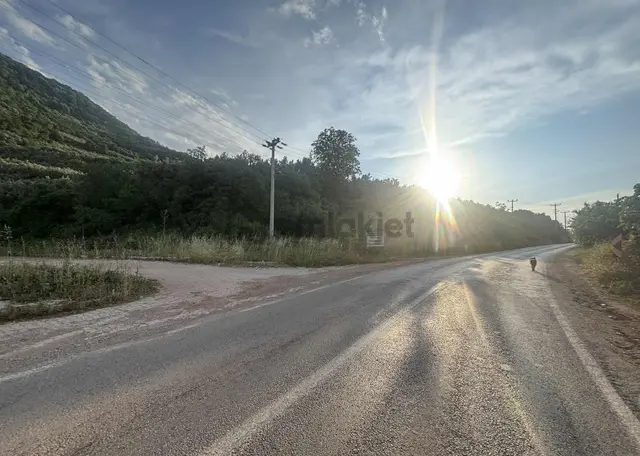 Göl Manzaralı Gemlik Asfaltına Cephe 1100 M2 Satılık Zeytinlik 3