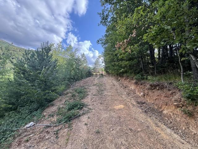 2 Parsel 690 M2 Şok Fiyat Satılık İmarlı Arsa 4