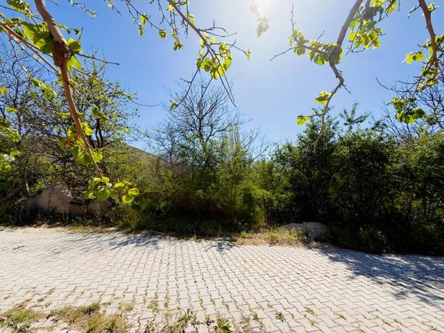 İvriz Yazı Bağı Mevkii Yol Kenarı Satılık Bahçe 5