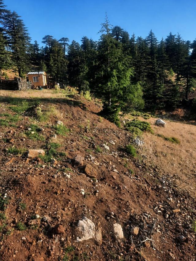 Kumluca Büyükalan Da Yola Yakın 536 M2 Yatırımlık Arazi. 3