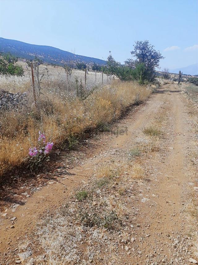 Şehzade'den Acıpayam Yassıhüyük'te Süper Konumda Satılık Tarla 5