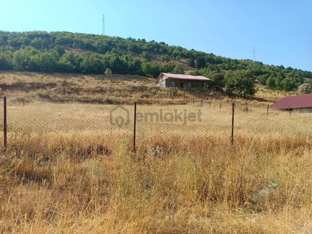 Yeni Rotadan Göksun Kanlıkavak'ta 7114 M2 Satılık Kurulu Çiftlik 5