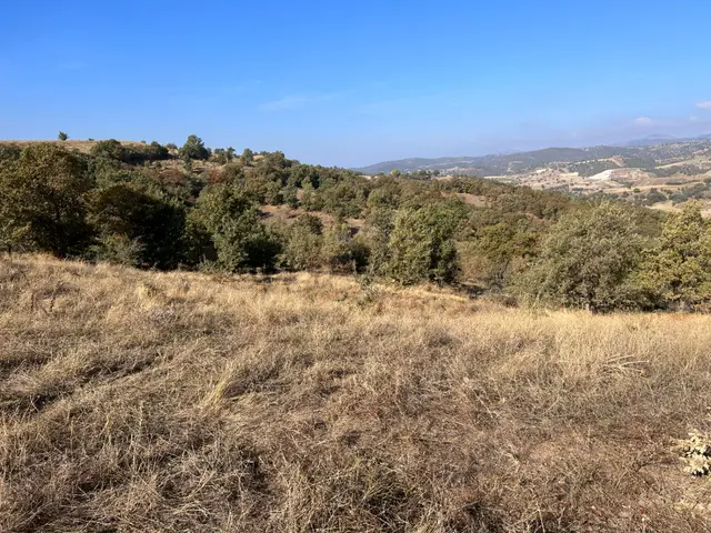 Uşak Eşme Manavlı'da Yola Cepheli, Su Hattı Önünde 4.420 M2 Yatırımlık Tarla 4