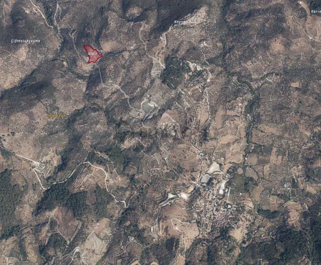 Şirince'de 9.870 M² Yatırım Değeri Yüksek Satılık Zeytinlik 3