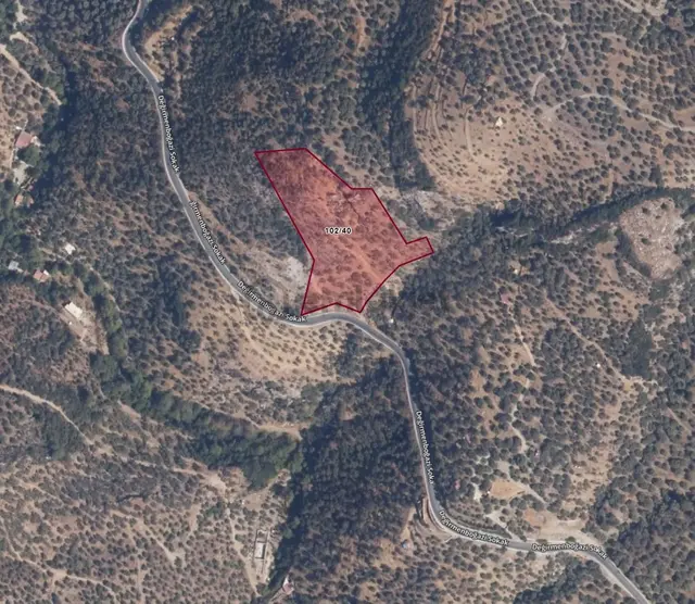 Şirince'de 9.870 M² Yatırım Değeri Yüksek Satılık Zeytinlik 2