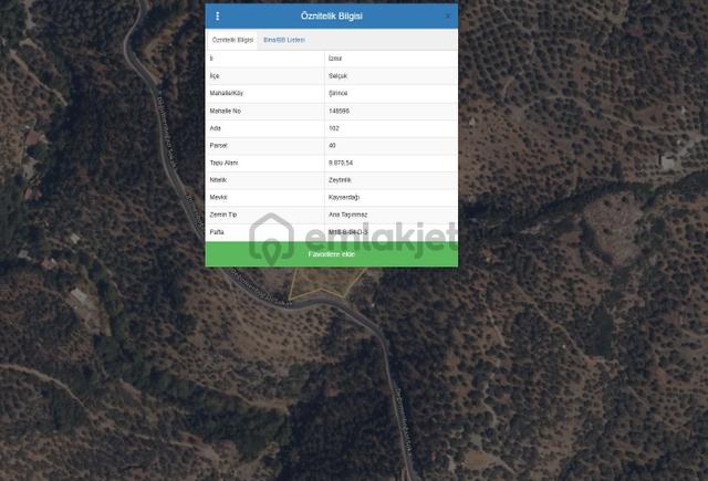 Şirince'de 9.870 M² Yatırım Değeri Yüksek Satılık Zeytinlik 4