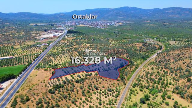 Germencik'te Yatırıma Ve Tarıma Uygun Satılık İncir Tarlası 1