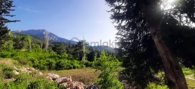 Kemer Ulupınar'da Satılık Müstakil Tapulu Tarla 2