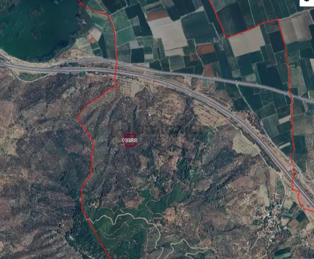Tire Halkapınarda Organik Üretimli, Yolu Olan Zeytinlik 3
