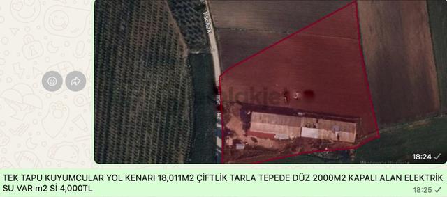 Yüreğir (abdioğlu-çağırkanlı-çotlu-innaplı) Limon Greyfurt Nar Bahçeleri Seyhan Çukurova Açıklamada 2