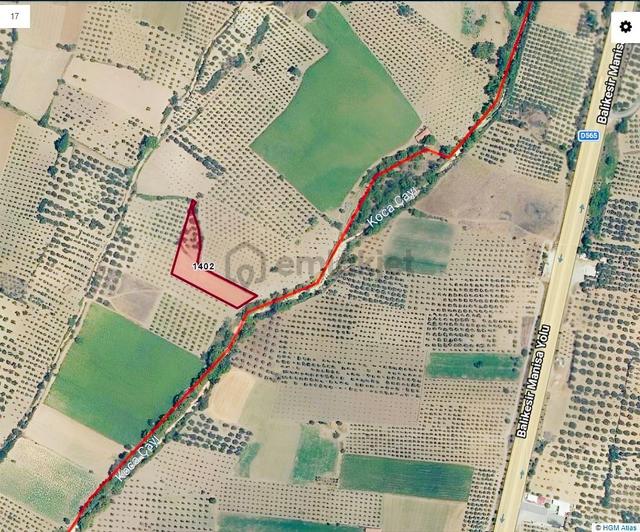 Va 1 - Manisa Kırkağaç Alacalarda Müstakil Tapulu Zeytinlik 3