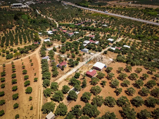 Torbalı Çakırbeyli Mahallesinde 305 M2 Satılık Zeytinlik 5