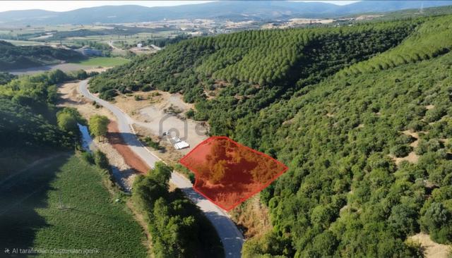 Yeşildere Asfaltına Cephe Hobi Bahçelik Tarla 1