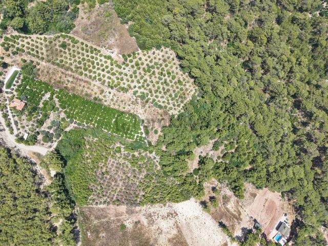 Bmk Emlaktan Karaöz'de Full Deniz Manzaralı Hisseli Tarla 2