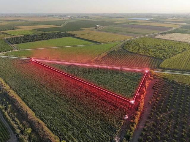 Ra Gayrmenkul Mamutağa Mh 11.675m Satılık Tarla 3