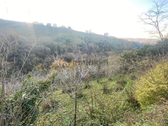 Öztürk Kardeşler Gayrimenkul’den Bulak Mahallesinde Satılık 5400m2 Yatırımlık Harika Bir Arsa 2