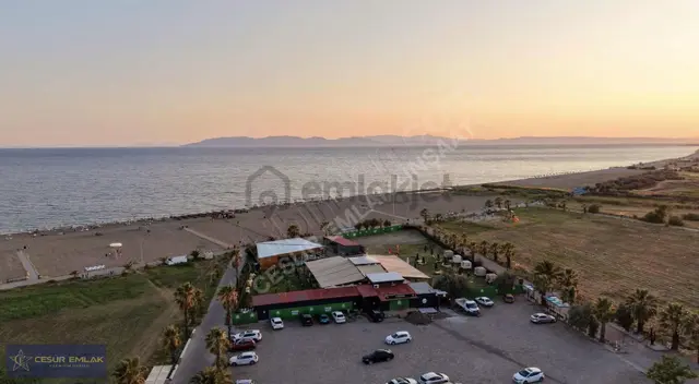 Dikili Palmiye Sitesinde Satılık Özel Tasarımlı 5+1 Lüks Villa