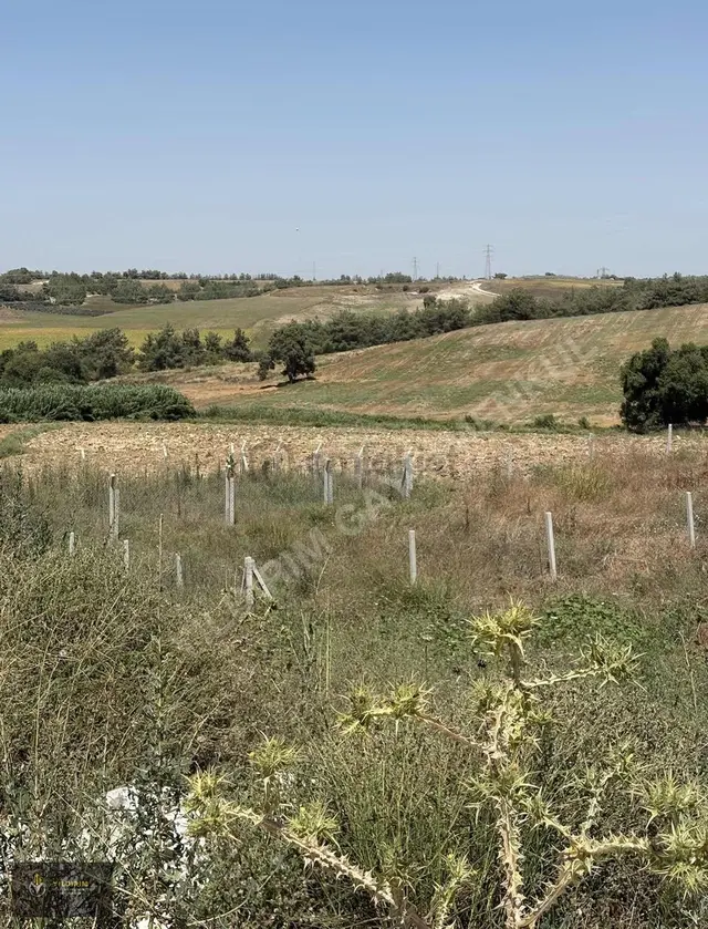 Buruk Toki Bitişiğinde 500 M² Yatırımlık Arsa Hissesi 3