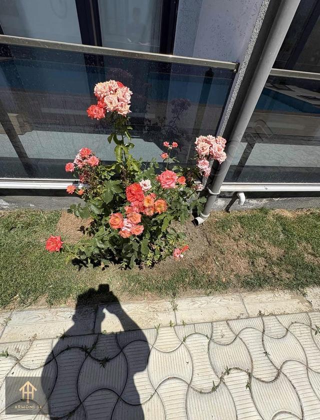 Şarköy Cumhuriyet Mahallesinde Kiralık 2+1 Butik Site 5