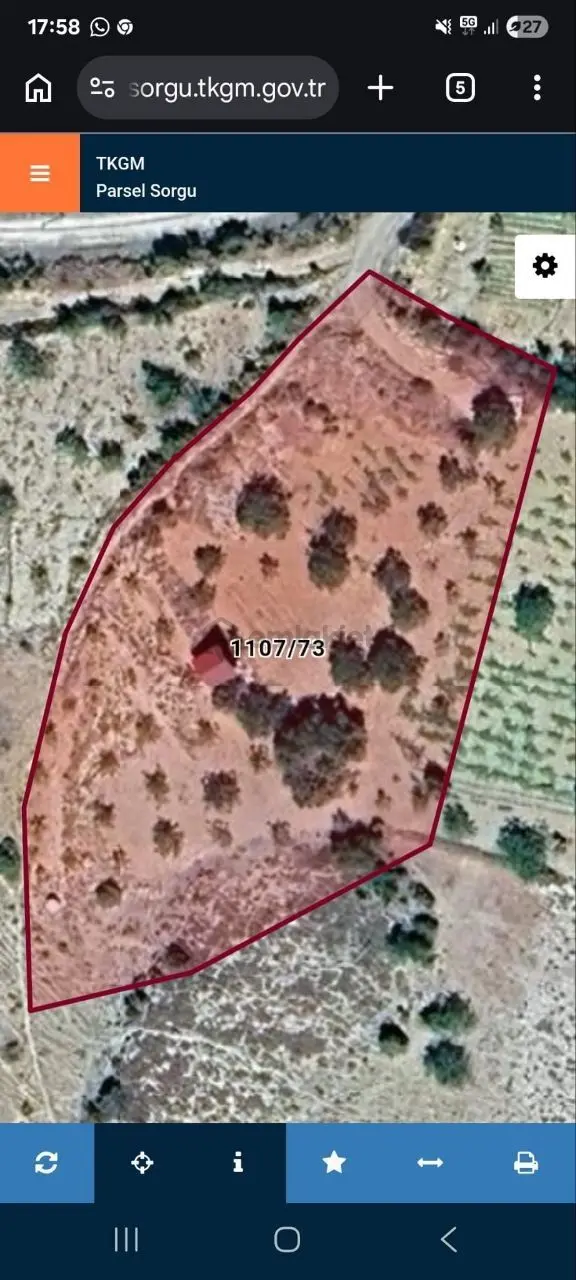 Sahibinden İlçe Merkezine 800 Metre Mesafede Getirisi Olan Satılık Tarla 4