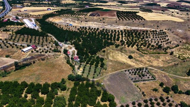 Bölüklüde Malatya Yoluna İkinci Parsel Yatırımlık Ve Kayısı Bah 4