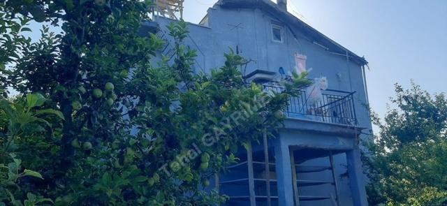 Isparta Yalvaç Aşağı Tırtar Köprü Başı 9760 M2 Satılık Tarla 1