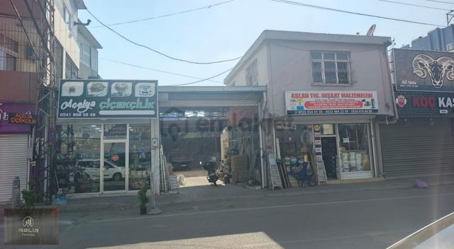 Yeşil Evler Ana Cadde Üzer 389 M2. İş Yeri 1