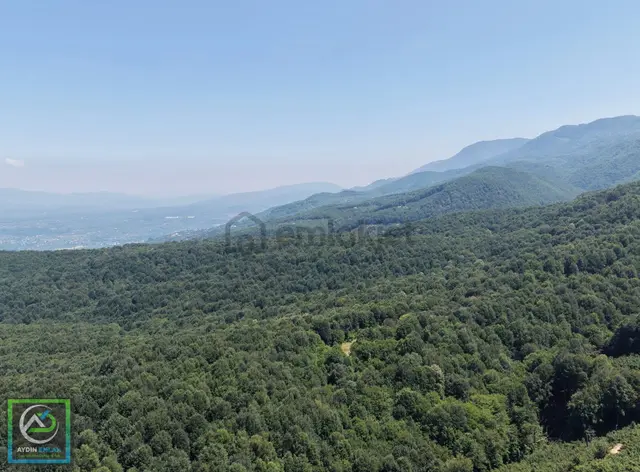 Akyazı Güzlek'te Satılık 1068 M2 Fındık Bahçesi 3