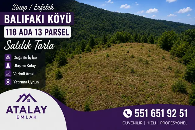 Sinop Erfelek Balıfakı Köyünde Atalay Emlak Tan Satılık Tarla 3