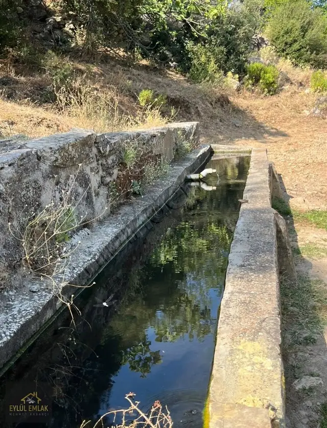 Milasa Baglı Kuzyaka Mahallesinde Satılık Tarla 3