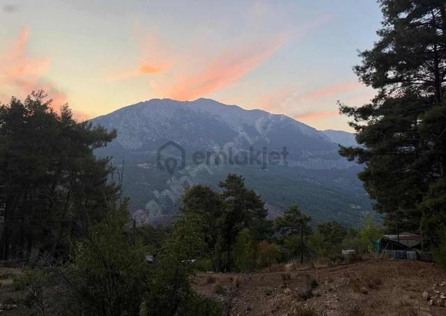 Hisarçandır'da Takasa Açık 8294m2 Tarla