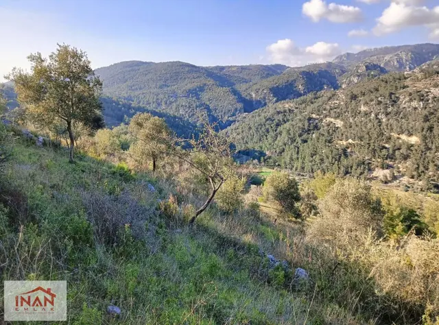 Akbük Denizine 5 Km Satılık Tarla 2