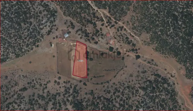 Ağlasun Sakarca Mahallesinde Yatırımlık Fırsat Tarla