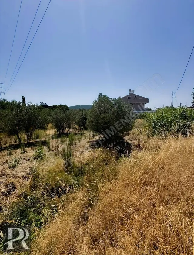 Erdek Ocaklar'da Satılık 1396m² Zeytinlik, Denize Yakın 2