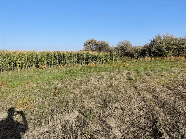Acil! Kahramankazan Emirgazi Müstakil Tapulu Satılık Tarla 1