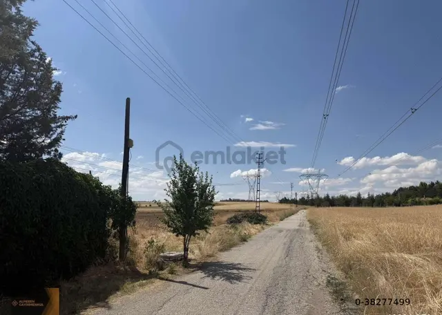 Alperen Gayrimekul'den Ballıkpınar Asfalt Cephe Köşe Tarla 4