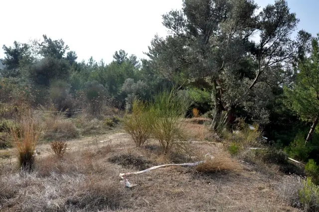 Kuşadası Soğucak'ta Kat İrtifaklı Satılık Arsa 5