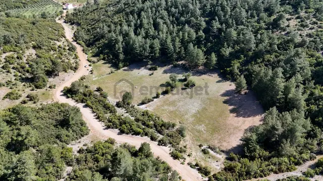 Muğla Yerkesik Mahallesi'nde Satılık 10.000 M² Tarla 3