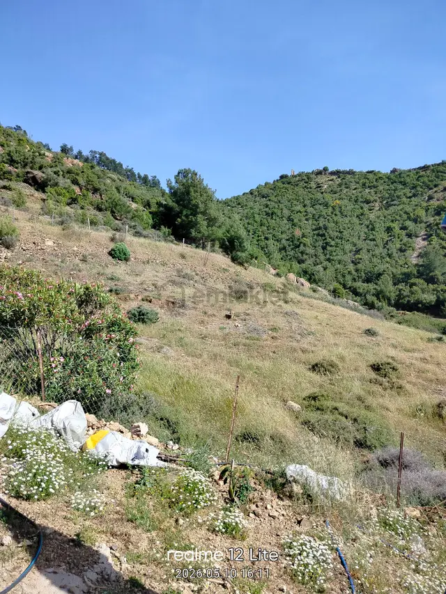 Müstakil Tapulu Tarla 1