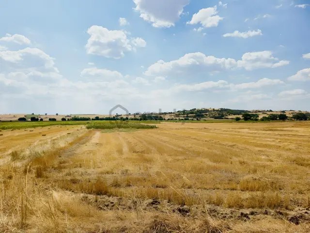 Tekirdağ Malkara Kozyörük Mah. Satılık Tarla 1