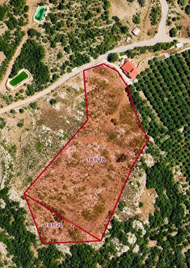 Aktiften Acil Satılık | 12.500 M² Yatırımlık Hurma Bahçesi 1