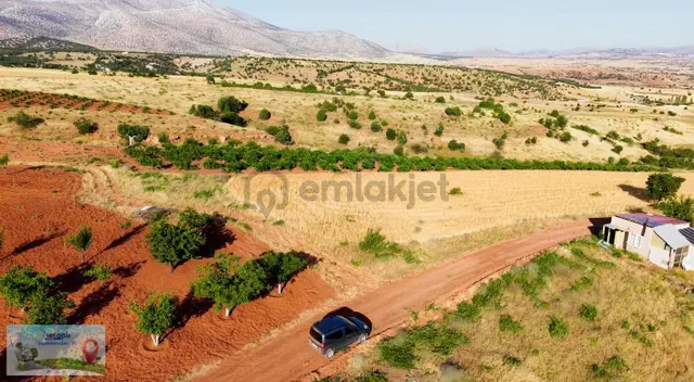Karaman Merkez Muratdede Mahallesi'nde 306 M² Müstakil Bağ 3