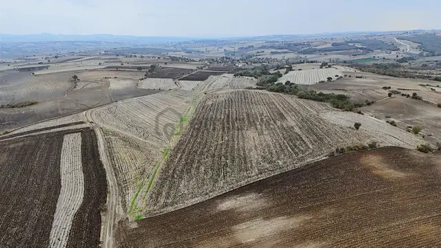 Ege Emlak'tan Keşan Karasatı Köyünde Satılık Tarla 2