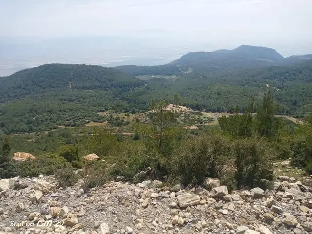 Söke Sazlı'da Satılık 55.725 M² Tarla - Yatırım Fırsatı 2
