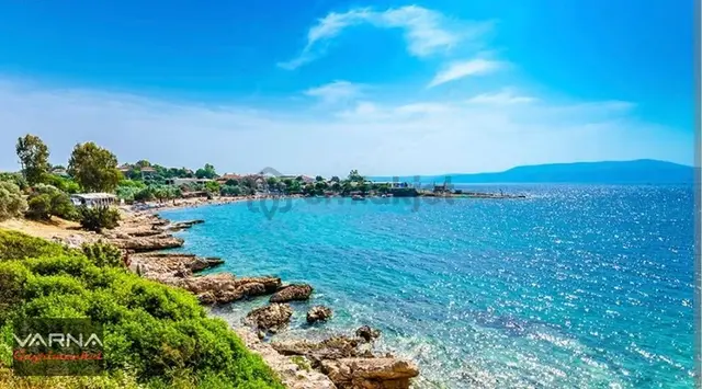 Varna Dan Seferihisar Kavakdere 300 M2 Tapulu Subasmağa Atılı