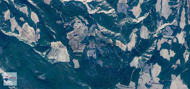 Bilecik Yenipazar Aşağıboğazda 6.058 M² Satılık Tarla 1