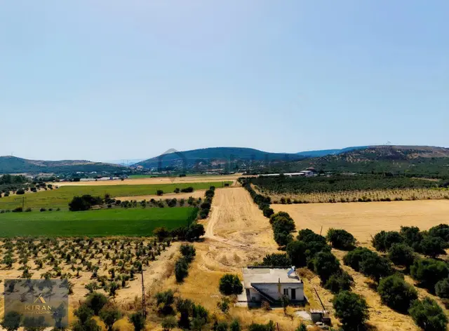 Foça Ilıpınar'da 11.415m2 Yatırıma Uygun Tarla 2