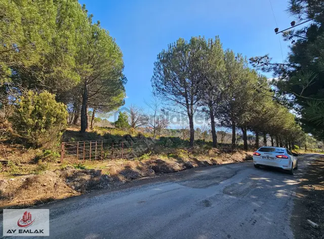 Armutlu Mecidiyeköy'de 675m² İmarlı Arsa - Denize Yakın