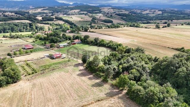 Bafra Lengerli Mahallesi'nde Satılık 30.501 M² Tarla 2