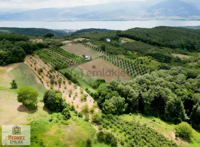 Kartepe Eşmede Körfez Manzaralı Meyve Ve Fındık Bahçesi 2